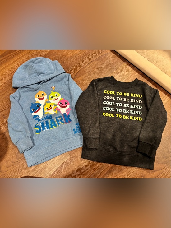 Garanimals Other - 🎉(2T) Toddler Boy/Girl Sweatshirt Bundle
